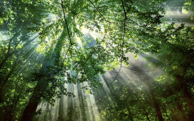 Living by the Spirit: Victory Over the Flesh