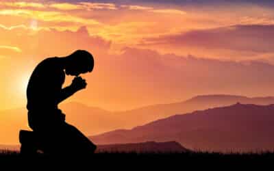 Obedience Over Opinion