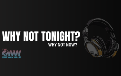 Song: Why Not Tonight?