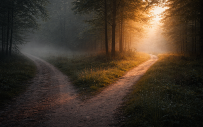 God Is Not Obligated to Bless Disobedience