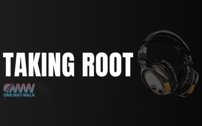 Song: Taking Root